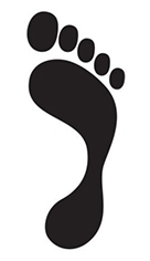 Свод стопы высокий